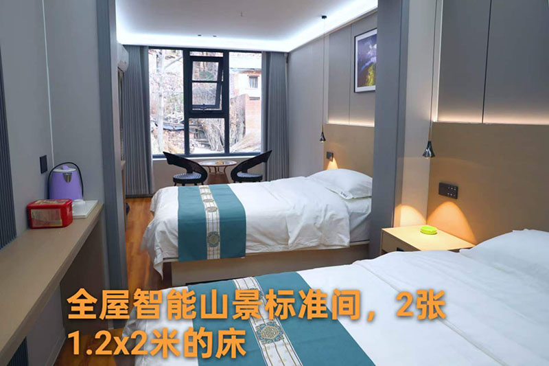 全屋智能全景标间房